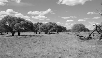 Stacks Image 13